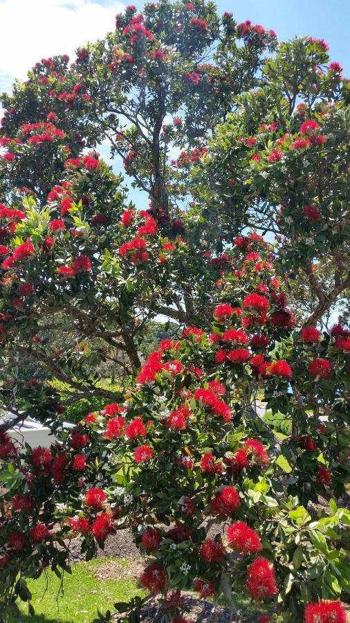 Jake'S Place Oneroa Waiheke المظهر الخارجي الصورة